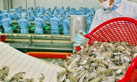 Thủy sản loay hoay vì rớt giá, kỳ vọng thị trường cuối năm