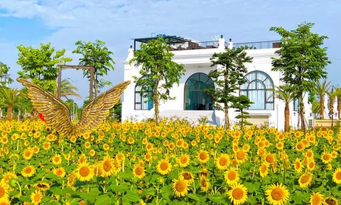 Nhà đầu tư bất động sản không ngại "xuống tiền" tháng ngâu 
