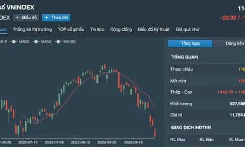 Nhà đầu tư Hàn Quốc mua ròng 9,1 triệu USD cổ phiếu Việt Nam trong hơn 10 ngày