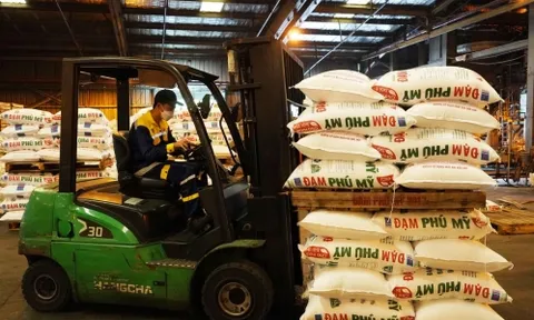 PVFCCo tiếp tục nằm trong Top 50 công ty niêm yết tốt nhất Việt Nam năm 2023