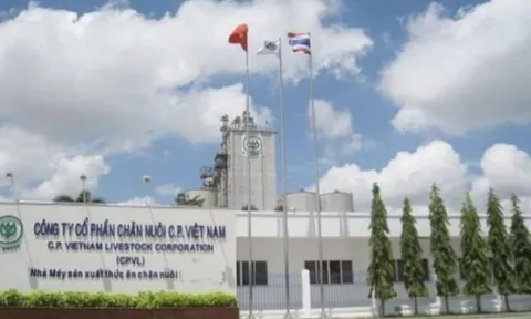 Sau lùm xùm thịt heo bệnh, C.P. Việt Nam báo doanh thu giảm, chăn nuôi chững lại