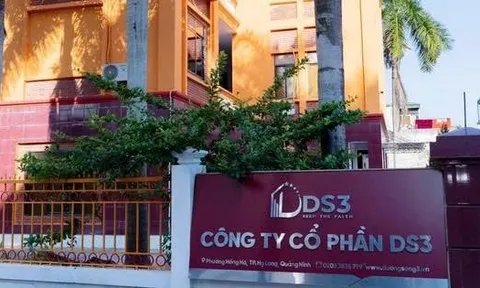Lợi nhuận bán niên kỷ lục, DS3 vẫn chưa thoát diện cảnh báo trên HNX
