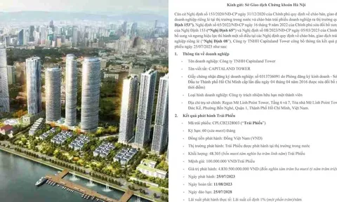 Không phải lãi suất, đây mới là yếu tố giúp Capitaland Tower phát hành thành công 12.000 tỷ đồng trái phiếu doanh nghiệp
