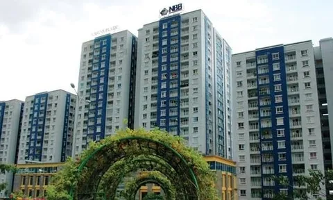 CII muốn gom 5 triệu cổ phiếu NBB qua chào mua