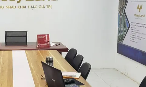 Tập đoàn Meey Land: Lợi nhuận lao đốc đạt hơn 700 triệu, nợ phải trả gấp 27 lần vốn chủ