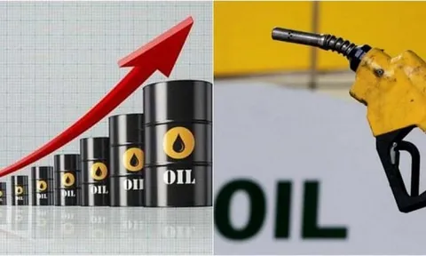 Giá dầu thế giới đảo chiều tăng