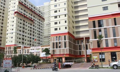 Nợ thuế gần 600 tỷ đồng, Công ty Cổ phần Đức Khải bị dừng làm thủ tục hải quan