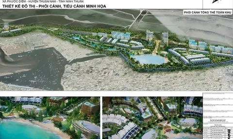 Góp vốn làm Cà Ná New City, Tập đoàn Tuấn Dung đang kinh doanh thế nào?