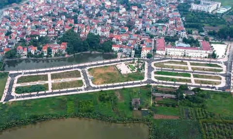 Xuyên đêm đấu giá đất Hoài Đức: "Bỏng tay" với giá trúng 133 triệu đồng/m2