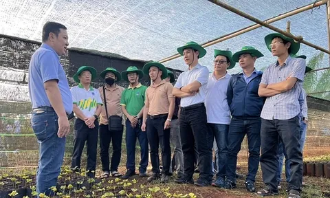 Nông dân được mùa, bội thu nhờ đặt niềm tin vào NPK Phú Mỹ