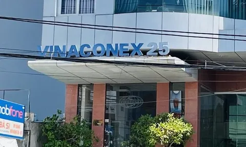 Nợ phải trả của Vinaconex 25 cao gấp 7,6 lần vốn chủ sở hữu