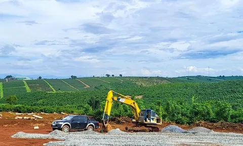 Quy định mới về điều kiện tách thửa, hợp thửa đất ở Lâm Đồng