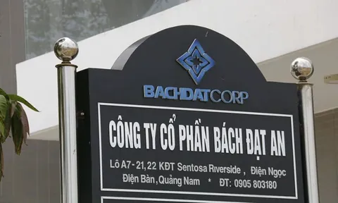 Vừa được trả giấy phép kinh doanh, Bách Đạt An đổi Tổng giám đốc