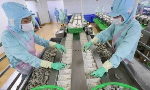 Tháng 7, xuất khẩu tôm tăng mạnh nhất từ đầu năm