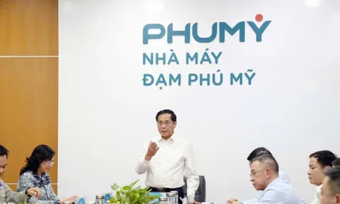 Phó Thủ tướng Bùi Thanh Sơn thăm nhà máy Đạm Phú Mỹ