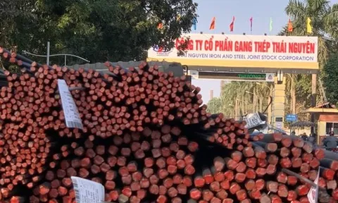 Gang thép Thái Nguyên tiếp tục bị nghi ngờ khả năng hoạt động liên tục