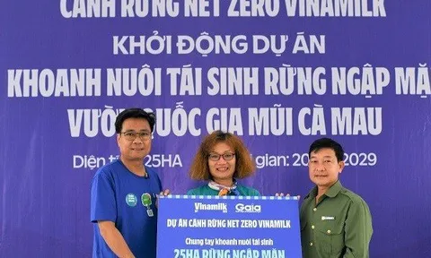 Đẩy mạnh dự án “cánh rừng Net Zero”, Vinamilk khoanh nuôi tái sinh 25ha rừng ngập mặn Cà Mau