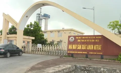 Kiểm toán phát hiện nhiều vi phạm của Công ty Hóa chất mỏ Thái Bình