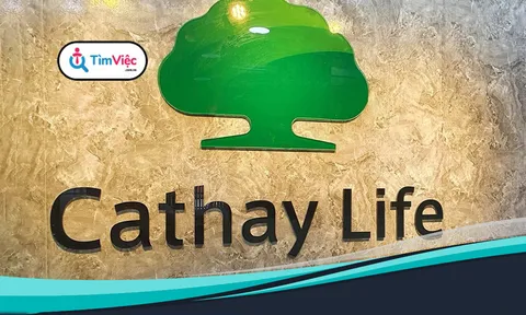 Cathay Life kinh doanh bảo hiểm lỗ, đầu tư tài chính thu gần 1.200 tỷ