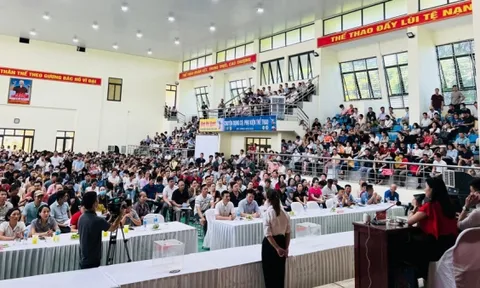 Hoài Đức tạm dừng đấu giá đất để rà soát