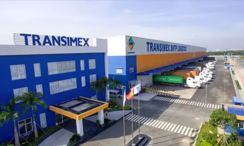 Transimex bán trái phiếu 'ba không’ hút về 100 tỷ đồng