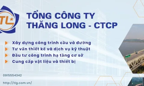 TCT Thăng Long: Áp lực dòng tiền khi nợ phải trả gấp 3,2 lần vốn