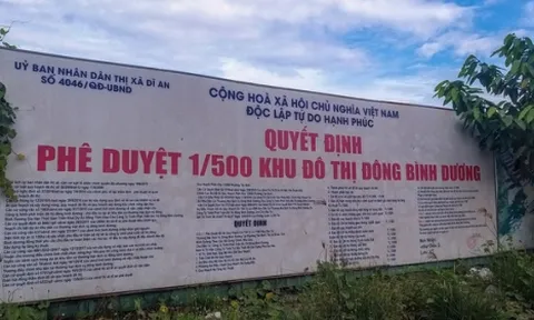 Nhiều dự án bán lúa non, Bình Dương tăng cường kiểm tra, quản lý
