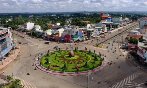 Bình Phước: Thu hồi đất của Công ty Đại Lợi thuê 12 năm không triển khai