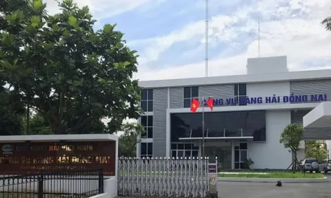 Cảng vụ hàng hải Đồng Nai, Sonadezi, Phân bón miền Nam và nhiều doanh nghiệp nợ thuế