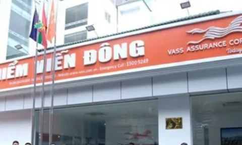 Bức tranh tài chính u ám của VASS, chi nhánh Thừa Thiên Huế bị phạt