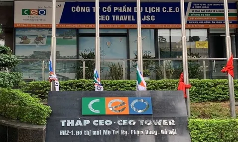 Vì sao doanh thu giảm nhưng lợi nhuận của CEO Group vẫn tăng gấp đôi quý I/2023?