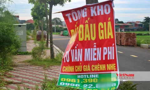 Sốt đấu giá đất ven Hà Nội: 'Điều bất thường ngang nhiên tồn tại bình thường'