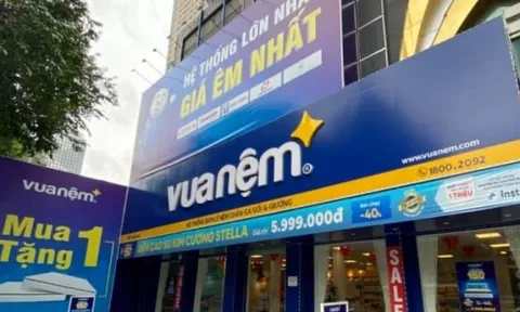 Vua Nệm tiếp tục lỗ thêm gần 13 tỷ đồng