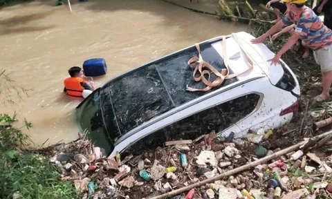 Doanh nghiệp bảo hiểm đầu tiên báo số thiệt hại nặng do bão Kajiki