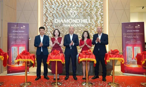 BV Invest, chủ đầu tư Diamond Hill Thái Nguyên bị ngừng sử dụng hoá đơn