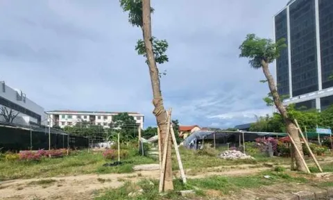 Nghệ An: Thanh tra dự án bất động sản ở thành phố Vinh