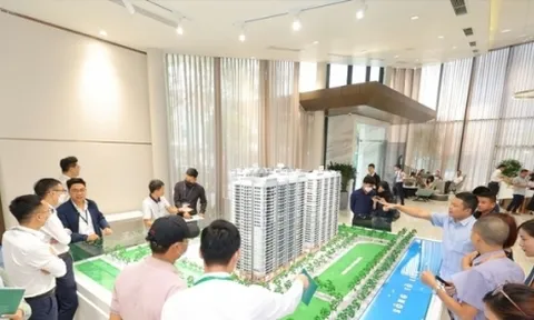 Báo cáo Thủ tướng về thành lập các sàn giao dịch việc làm, bất động sản trước ngày 8/9