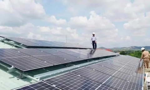 Năng lượng Nam Phương chậm thanh toán lãi lô trái phiếu 450 tỷ