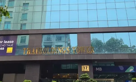 Hậu kiểm toán, doanh thu tài chính giảm gần 100 tỷ so với báo cáo tự lập, Thaiholdings nói gì?