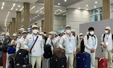 Loạt doanh nghiệp xuất khẩu lao động bị phạt tiền và thu hồi giấy phép