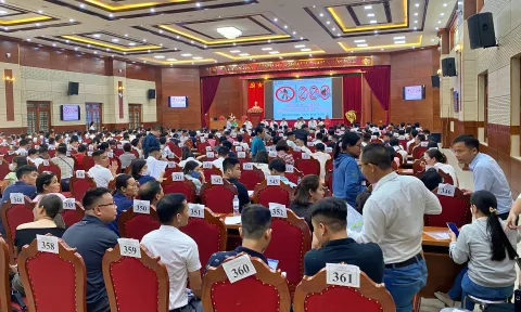 Hà Nội: Hơn 650 hồ sơ đăng ký đấu giá 39 lô đất ở Phúc Thọ