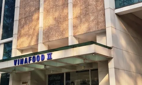 Nợ xấu dậm chân tại chỗ, Vinafood II đang vay hơn 4.000 tỷ đồng