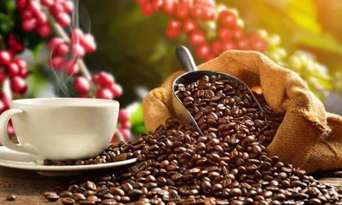 Xuất khẩu cà phê hướng đến mục tiêu kim ngạch 4 tỷ USD năm 2023