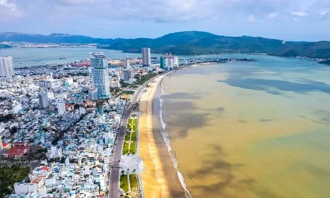 Bình Định: Thu hồi hai dự án trong Khu kinh tế Nhơn Hội vì vi phạm Luật đất đai