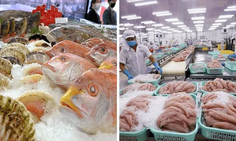Xuất khẩu thủy hải sản Việt Nam biến động ra sao sau lệnh cấm của Trung Quốc với Nhật Bản?