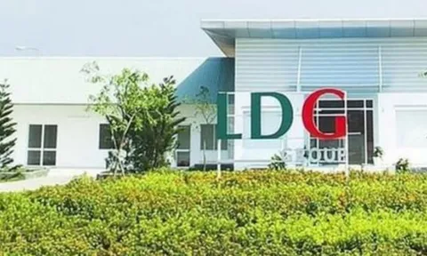 LDG bị nghi ngờ khả năng hoạt động liên tục