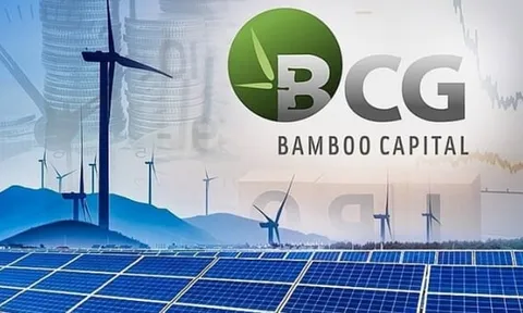 Bamboo Capital tiếp tục thay Tổng giám đốc