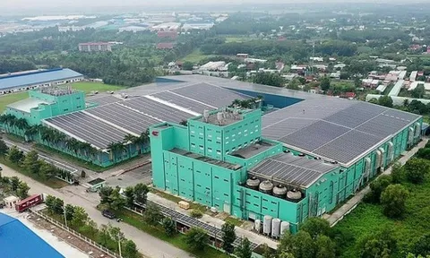 Sợi Thế Kỷ và "canh bạc" vay nợ cho dự án Unitex