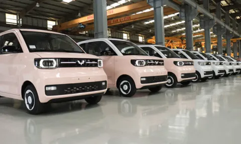 Lỗ gần 100 tỷ, Ô tô TMT bị nghi ngờ khả năng hoạt động liên tục