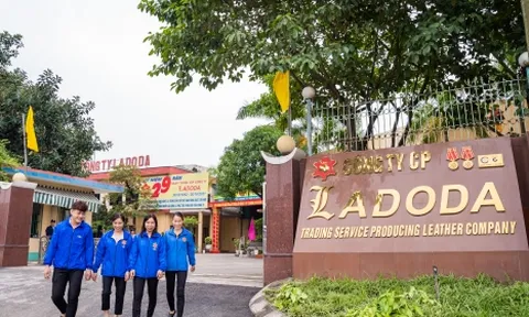 Lợi nhuận ròng bèo bọt, Ladoda đã phủ sóng các gói thầu như thế nào?